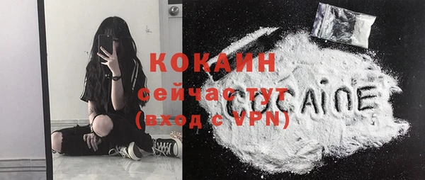 мяу мяу мука Аркадак